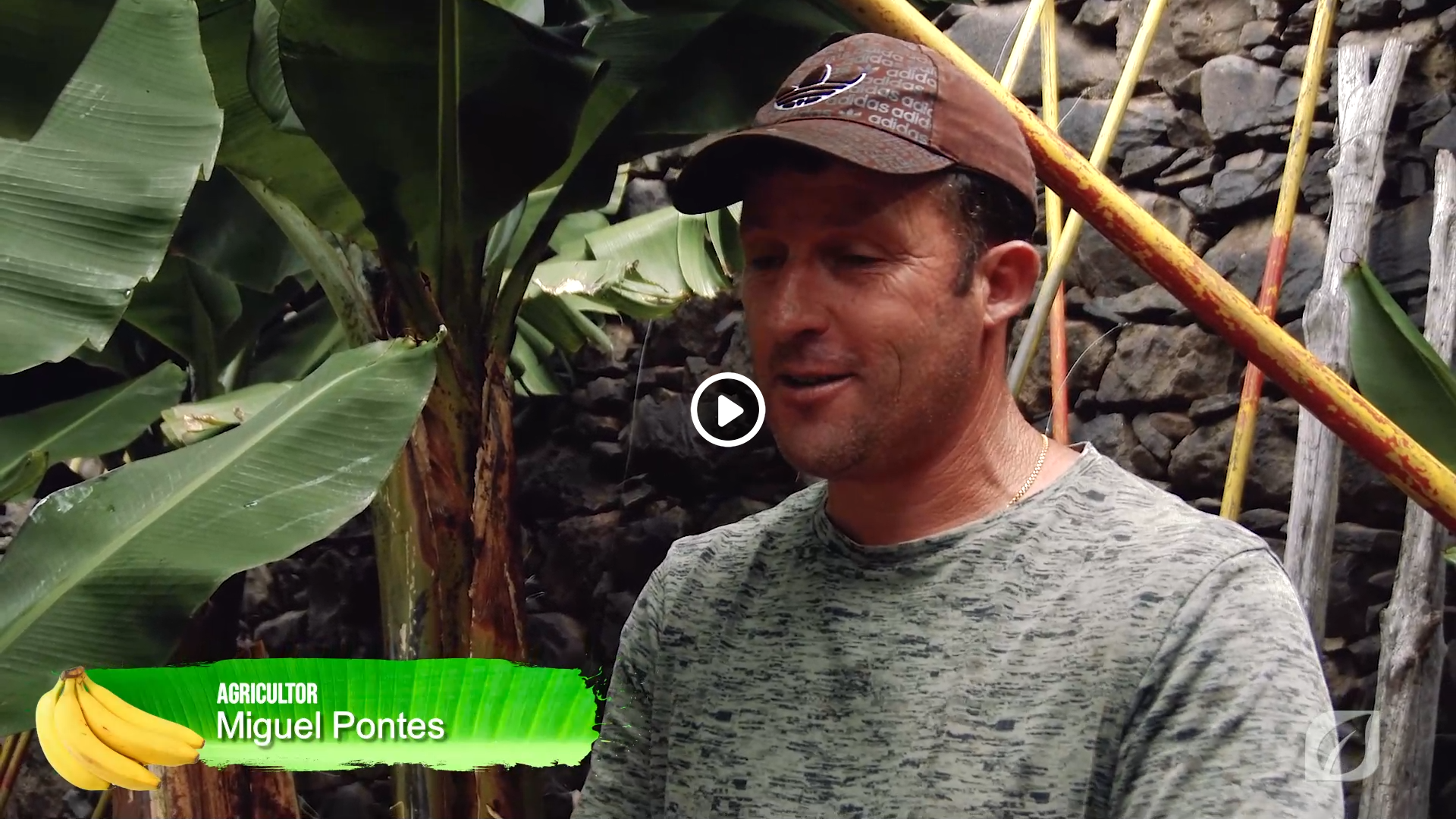 À conversa com o agricultor Manuel Pontes  - XX Mostra Regional de Banana
