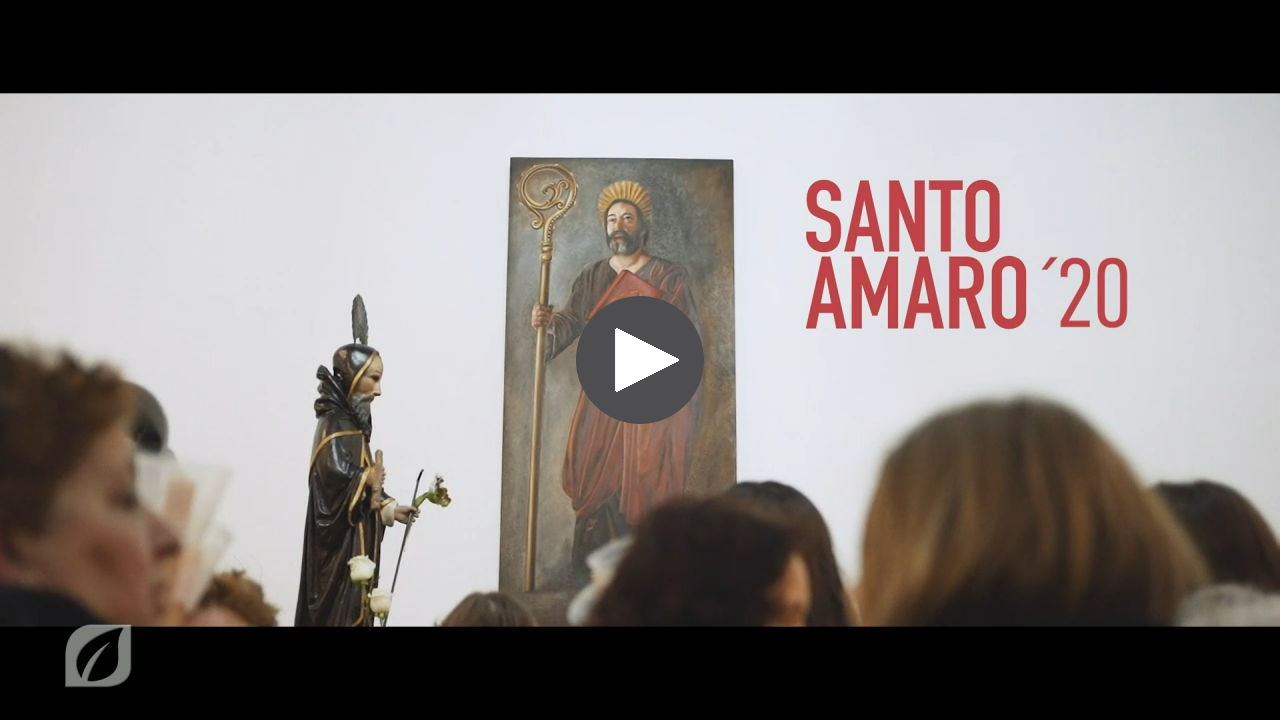 OS MELHORES MOMENTOS DA FESTA DE SANTO AMARO 2020 - Na transmissão da Festa de  Santo Amaro em Santa Cruz (2021) 