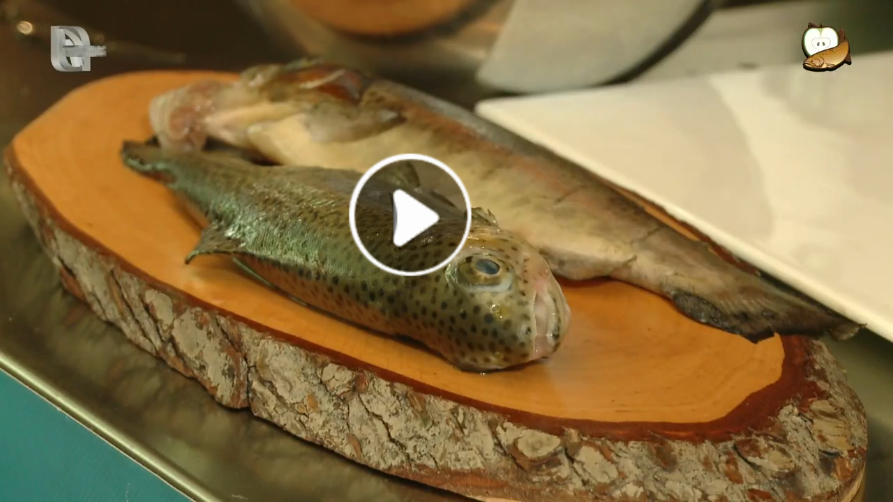 A truta pescada na ribeira de São Roque do Faial para a confeção do Chef Carlos Azevedo