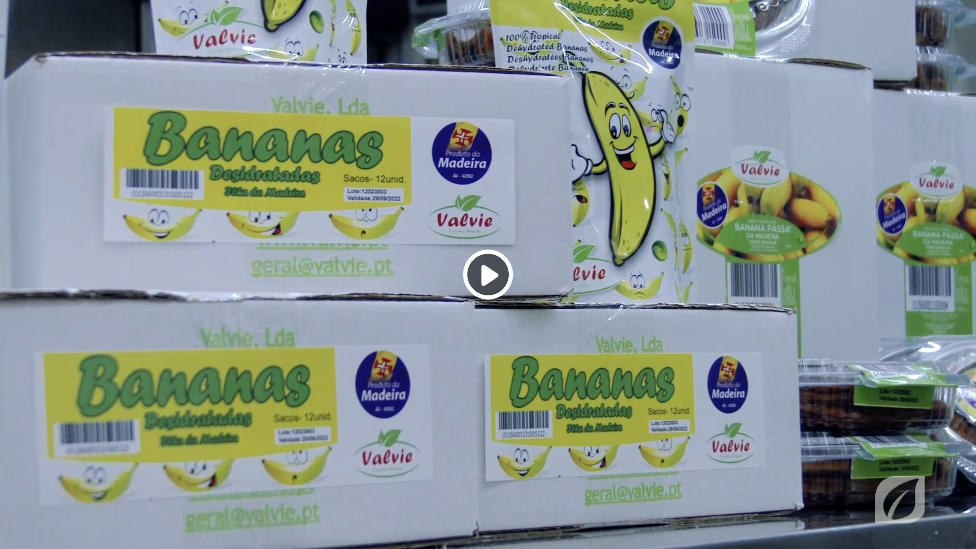 Sabia? Transformação de frutos com o empresário Pascoal Vieira- XX Mostra Regional de Banana
