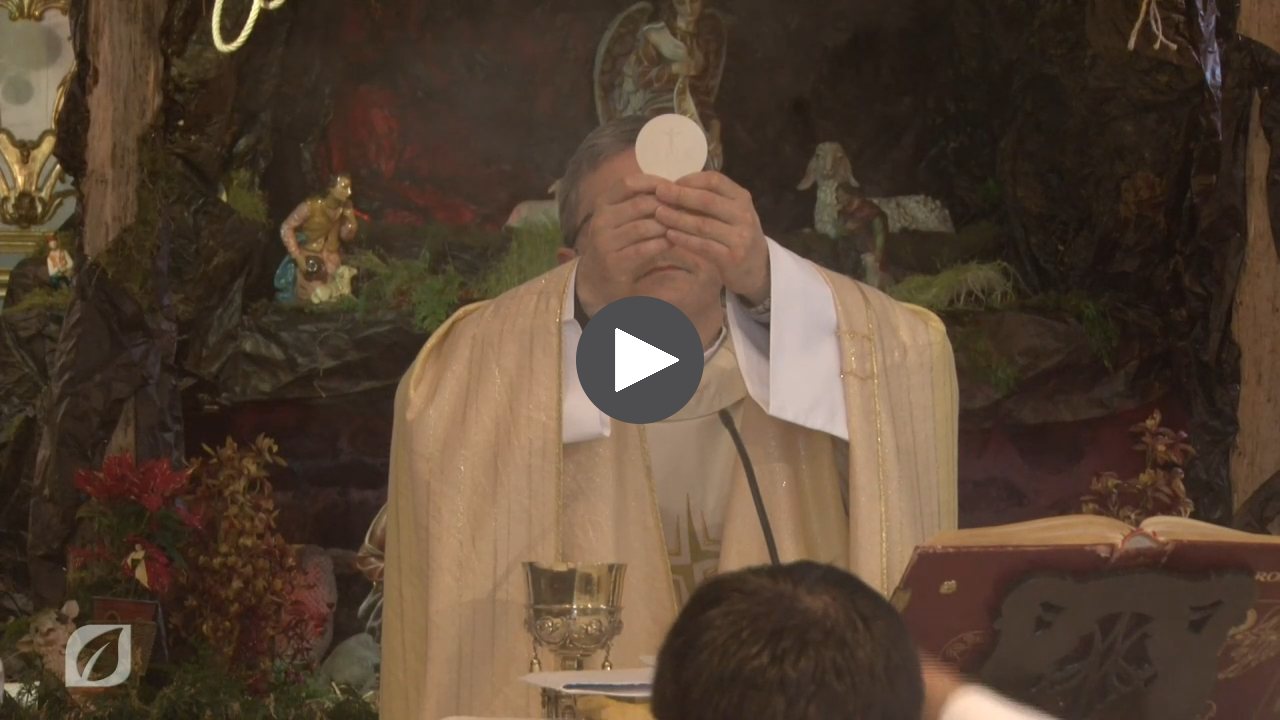 LEVANTAR A DEUS - celebração da eucaristia da Festa de  Santo Amaro em Santa Cruz (2021) Cerimónia Religiosa